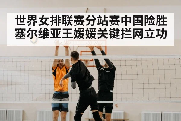 volleyball block net